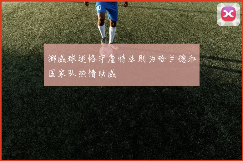 挪威球迷恪守詹特法则为哈兰德和国家队热情助威